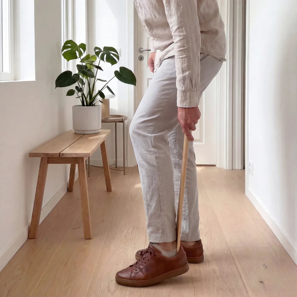 Magnetic Shoehorn
