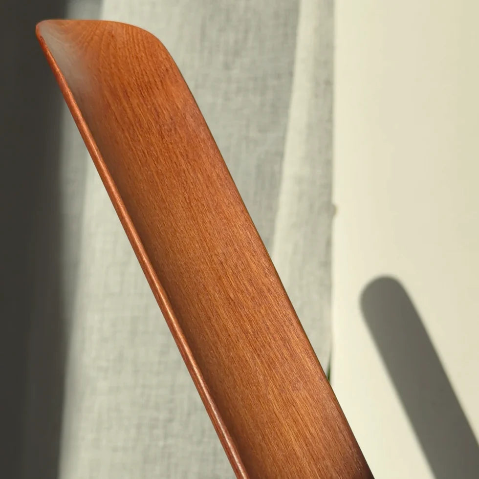 Magnetic Shoehorn